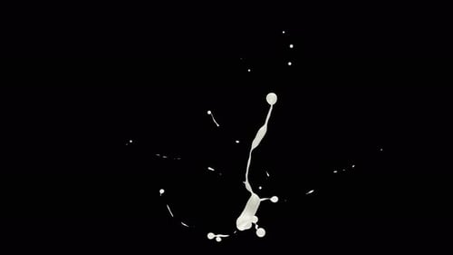 Fluid White Splash Liquid Reveal Transition Animation