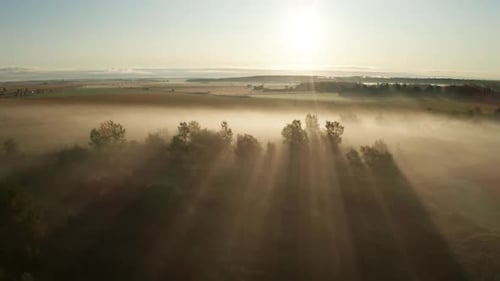 Morning sunlight shines beams of golden light through mist and fog hanging low over agricultural fie
