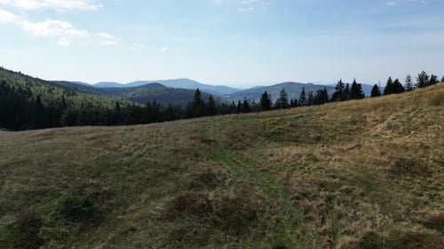 Mountain peaks landscape during a summer day with mountains peaks, forest, lush greenery and trees