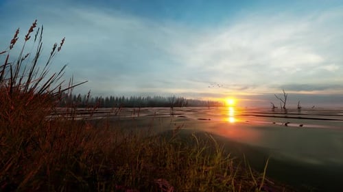 Ufer eines nebligen Sees bei Sonnenaufgang im Sommer