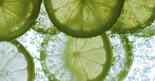 Lemon Slices Floating in Fizzy, Bubbly Water