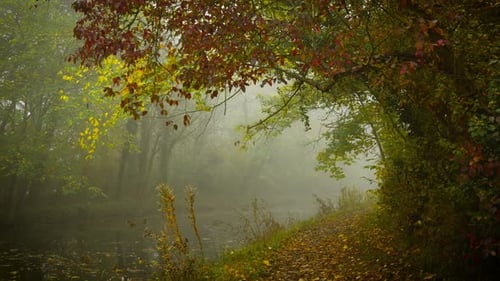 Lonely Riverside Path Covered with Fallen Leaves Twisting Into Thick Mist Hiding Traces of Forgotten