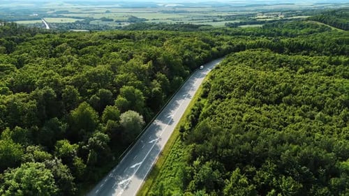 Flight over the highway with few cars in the lush woods. Drone footage over the wildlife in Slovakia
