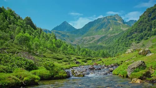 Summer Landscape in the Mountains The Flow of a Mountain River