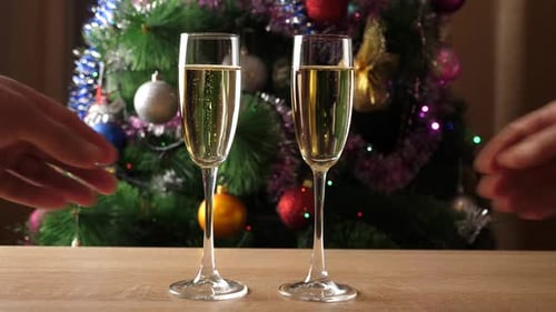 Champagne Toast By Christmas Tree