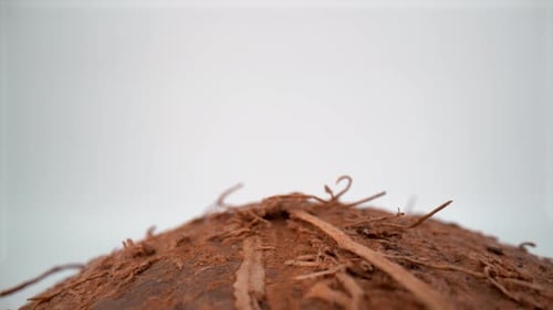 Coconut shell close up on white background isolated 4K