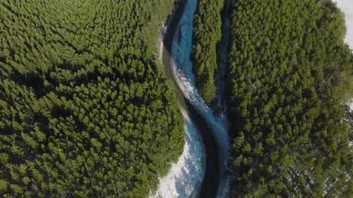 Aerial top down view of winding river through snowy pine forest in winter