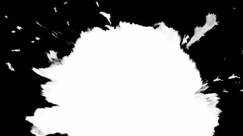 Abstract White Bloom on Black Background