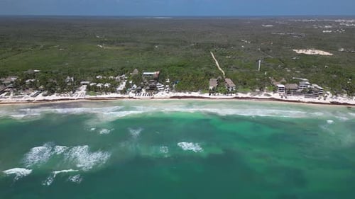 Vista aérea de playas del Caribe cubiertas de algas marinas de sargazo