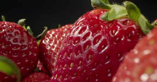 Close Up Strawberry Macro Shot Riesige frische, schöne leuchtend rote, saftige Erdbeere in Wassertropfen