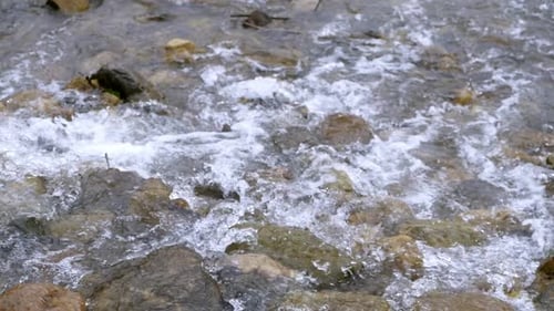 Clear stream running through stone boulders Abundant river flowing in slow motion. Wild mountain riv
