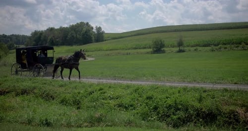 Amish Country, Ohio / United States - August 7 2018: Amish Buggy
