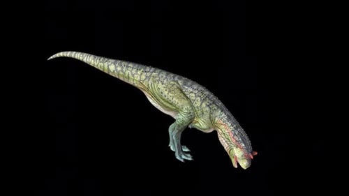 Boisson Carnotaurus Dinosaur