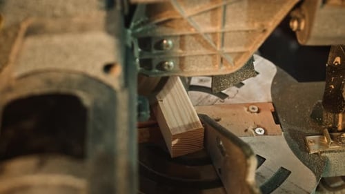 Saw Machine Cutting Wood In Factory