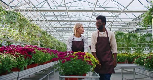 Man and Woman Working in a Greenhouse