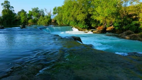 River Flowing Among Green Trees