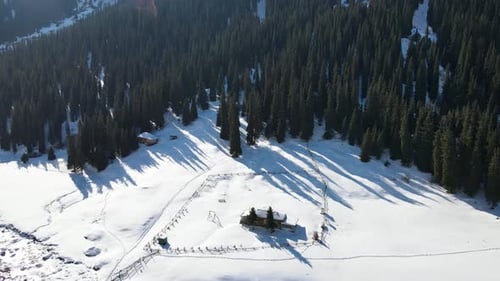 Aerial view of secluded wooden cabin in snowy forest clearing
