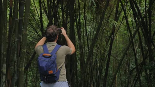 Man with Backpack Taking Photo in Dense Bamboo Forest Capturing