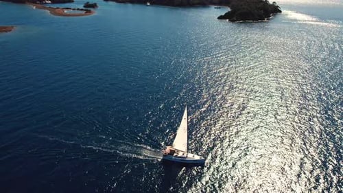 Boat Tour on Sunny Day
