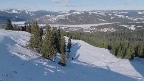 Snow-covered mountain landscape with scattered pine trees and distant snowy peaks under blue sky