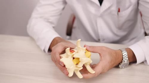 Man Holds Vertebrae Model in Medical Setting