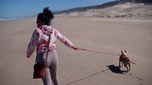 Woman seen walking her dog along the coast