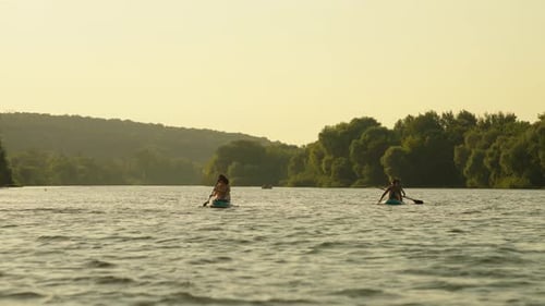 People Practicing Stand Up Paddle Boarding In River In Summertime SUP Touring Sport