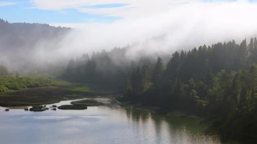 Stunning Aerial View of the Scenic Oregon Coastline Captured on a Foggy Day in October