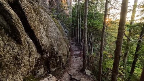 Trail in Canadian Mountain Landscape and Vibrant Green Trees Fall Season Nature Background