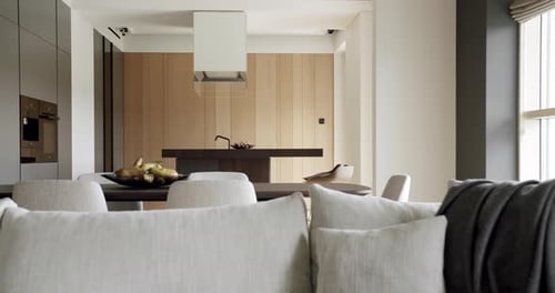 Modern Home Interior Design With Living Room and Kitchen