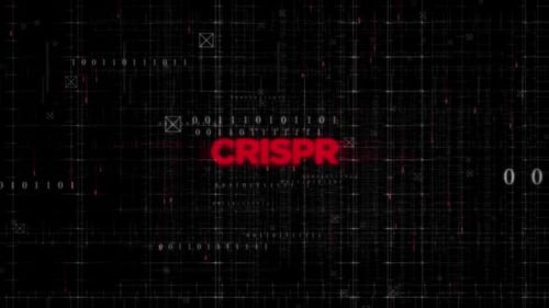 Futuristic Data Grid Glitch Logo Reveal