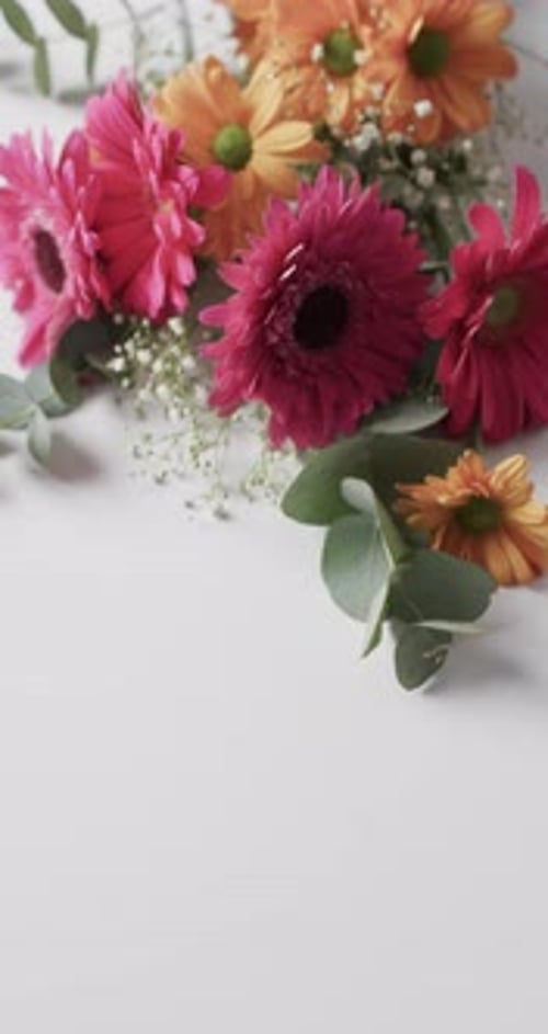 Floral Beauty: Gerbera Daisies Bouquet on White