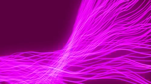Gradient color geometric line animation on Purple background, Shape line wave twisted background
