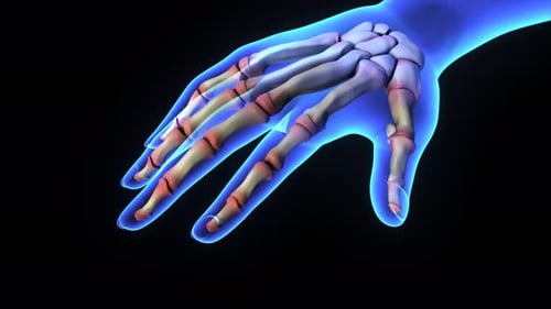 3D Animated Hand Bones Flexing Medical Anatomy Loop