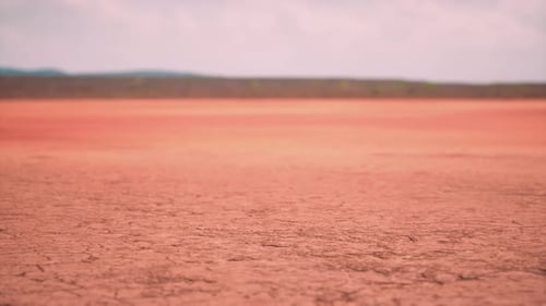 Subtle Motion Dry Cracked Earth Texture Background