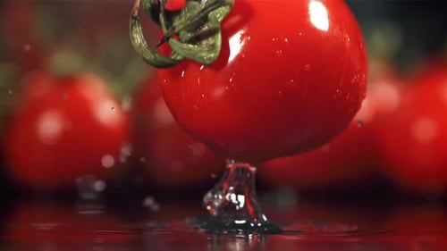 A Tomato Falls on a Wet Board Filmed on a Highspeed Camera at 1000 Fps