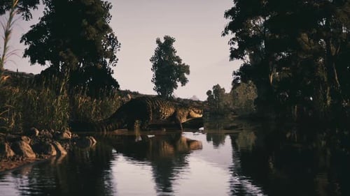 Crocodile se prélassant au bord de la rivière dans un habitat naturel luxuriant au coucher du soleil