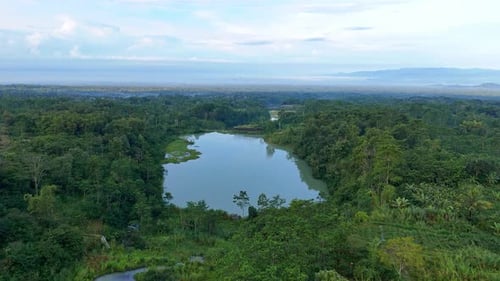 Aerial view of lake in the middle of a lush forest.