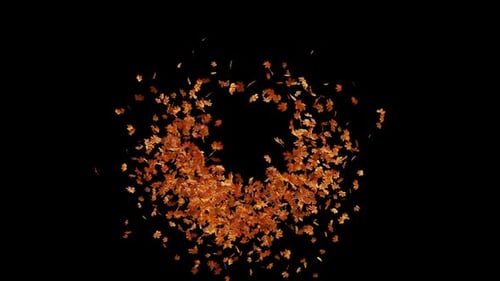 Autumn Maple Leaves Explosion 01 HD