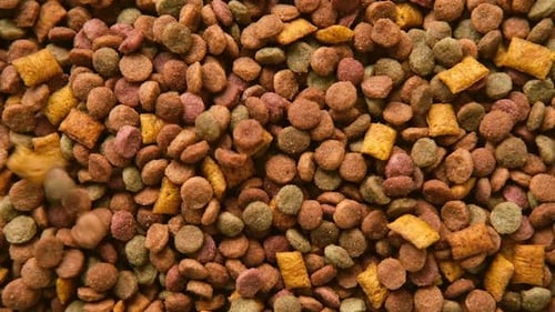 Dry Pet Food Being Poured Close Up