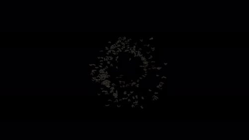 Bat Crowds on Alpha Channel 4K.