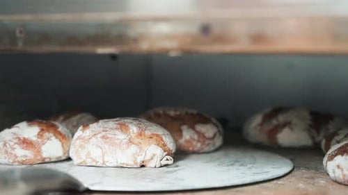 Frisches Brot im Ofen, das herausgenommen wird.