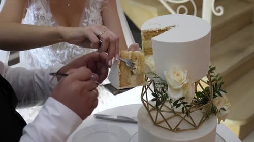 Bride and Groom Cutting Beautiful Wedding Cake