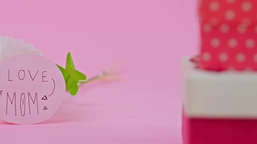 I Love Mom Flower Gift with Pink Background