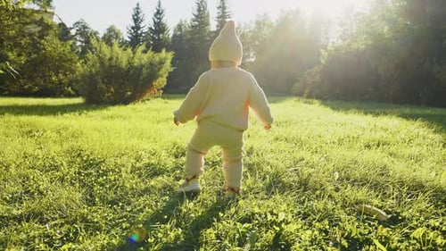 Toddler Explores Lush Green Meadow on Sunny Morning Adventure