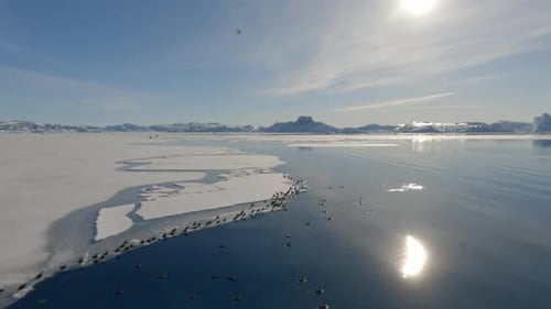 Ice And Calm Sea Surface Reflecting Bright Sunlight