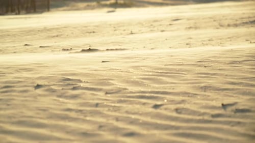 Strong Wind Blows Sand at Golden Hour Beach