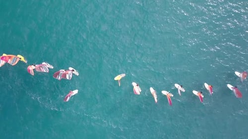 Wind surfing race starting line, Aerial view