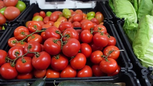 Tomatenernte. viele Tomaten. perfekte Tomaten auf einem Gemüsemarktstand