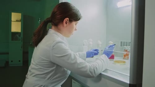 Female Researcher Working in Sterile Lab Cabinet